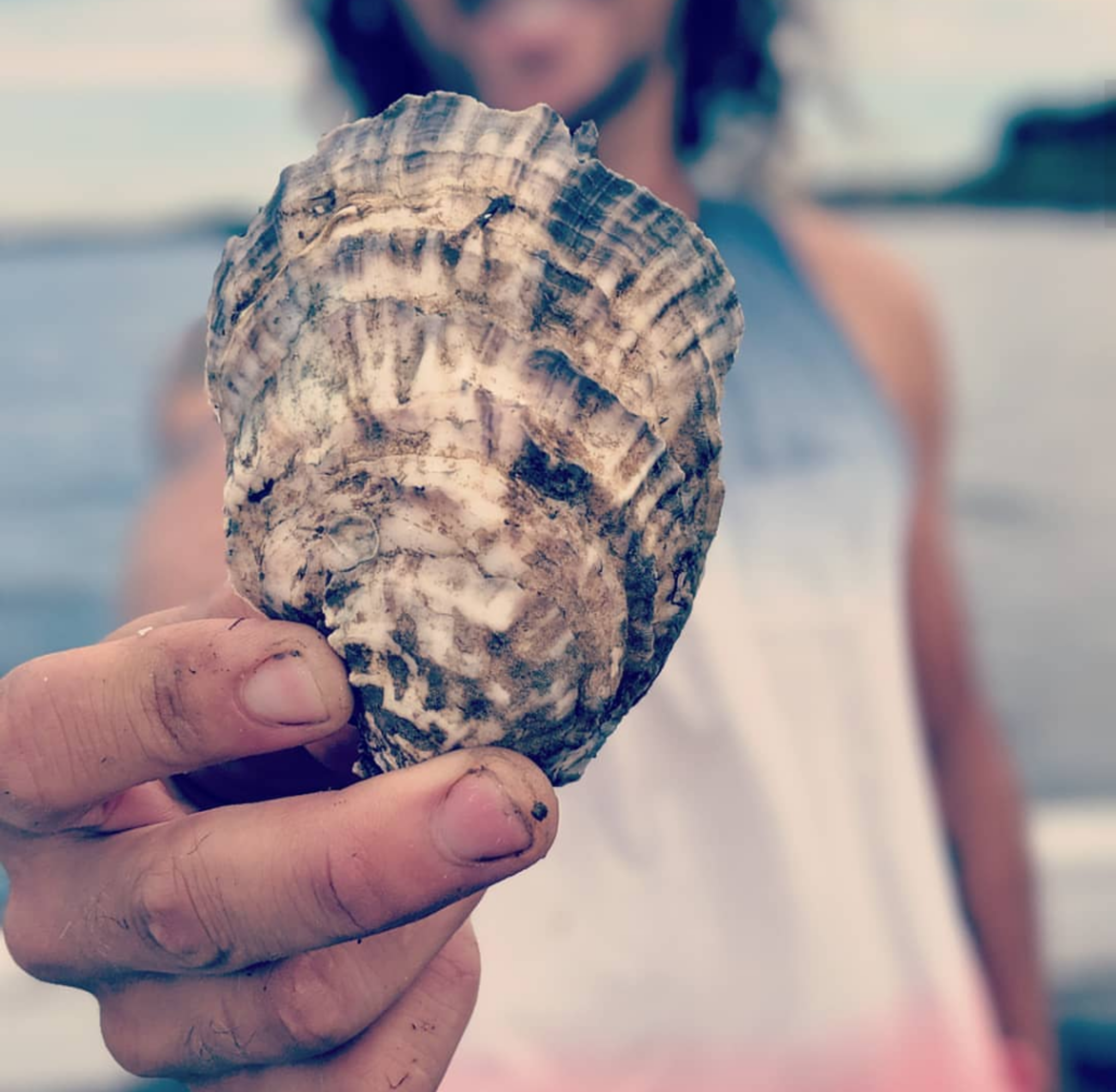 Sixpenny Oyster Farm